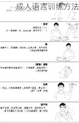 成人语言训练方法