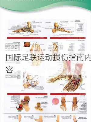 国际足联运动损伤指南内容