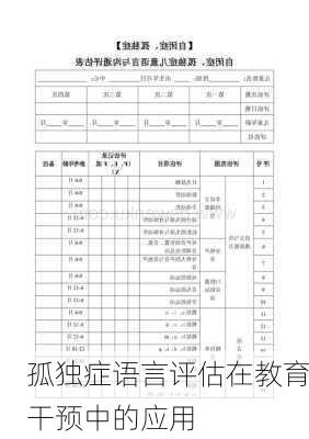 孤独症语言评估在教育干预中的应用