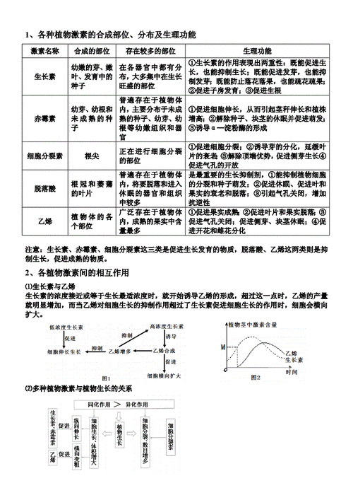 植物生长激素的暗示作用