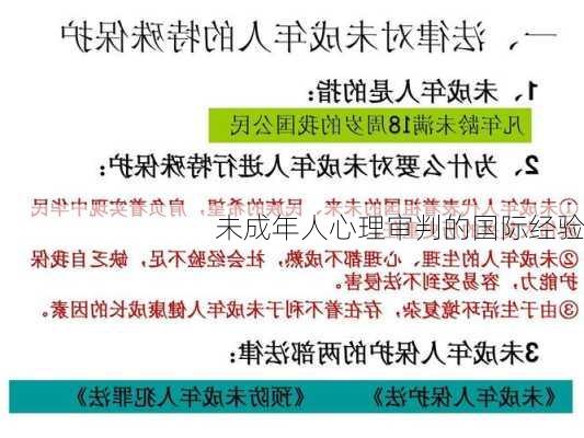 未成年人心理审判的国际经验