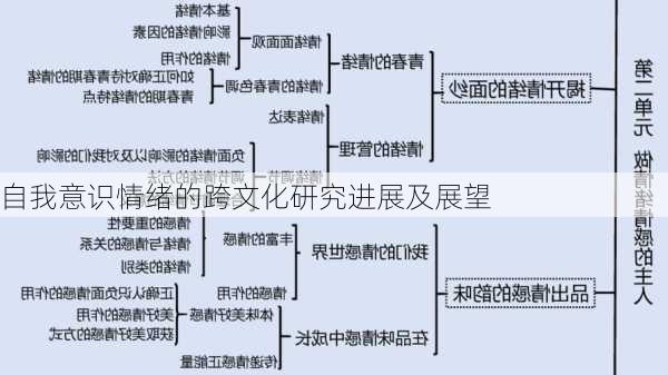 自我意识情绪的跨文化研究进展及展望