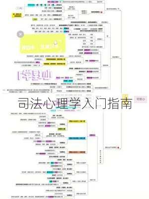 司法心理学入门指南