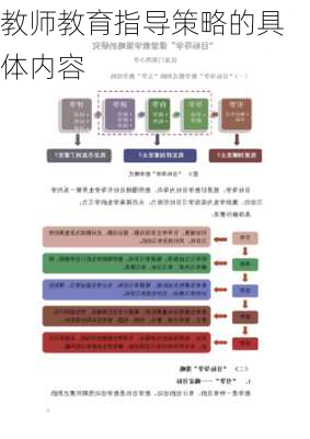 教师教育指导策略的具体内容