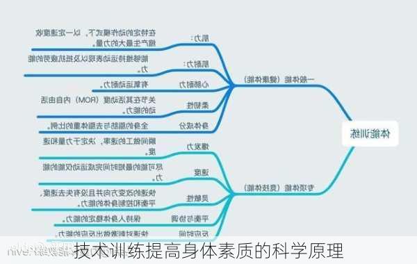 技术训练提高身体素质的科学原理