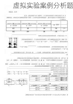 虚拟实验案例分析题