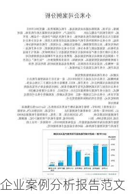 企业案例分析报告范文