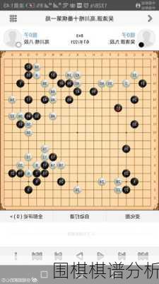 围棋棋谱分析