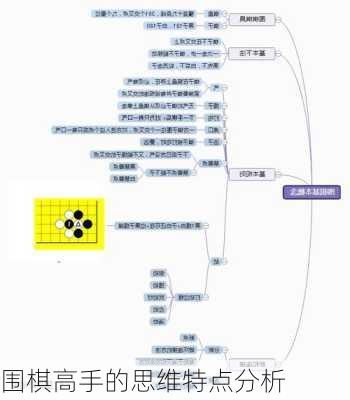 围棋高手的思维特点分析