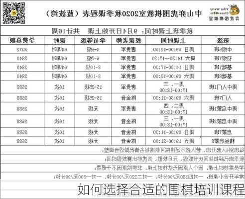 如何选择合适的围棋培训课程