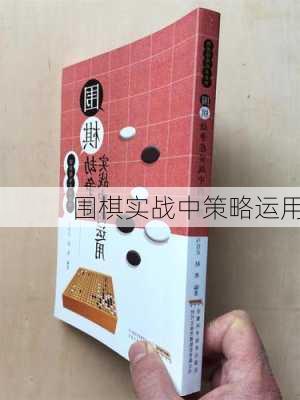 围棋实战中策略运用