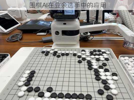 围棋AI在业余选手中的应用