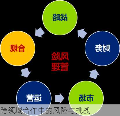 跨领域合作中的风险与挑战