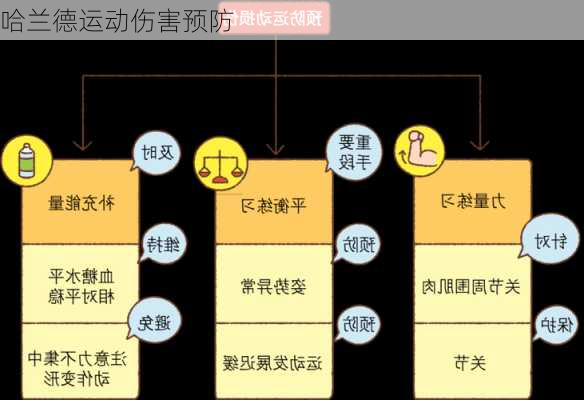 哈兰德运动伤害预防