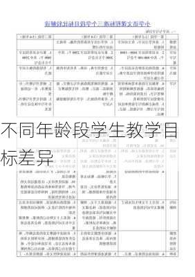 不同年龄段学生教学目标差异