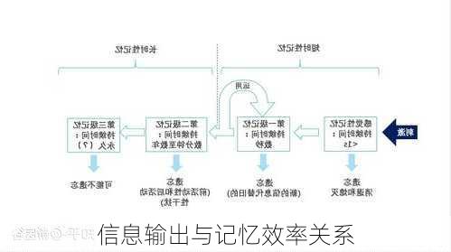 信息输出与记忆效率关系