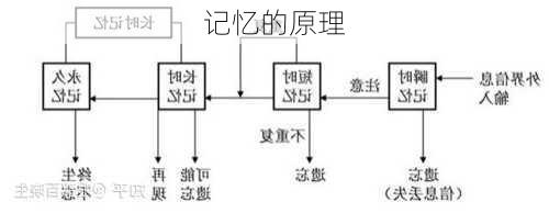 记忆的原理