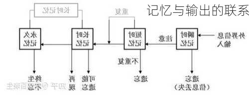 记忆与输出的联系