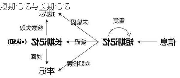 短期记忆与长期记忆