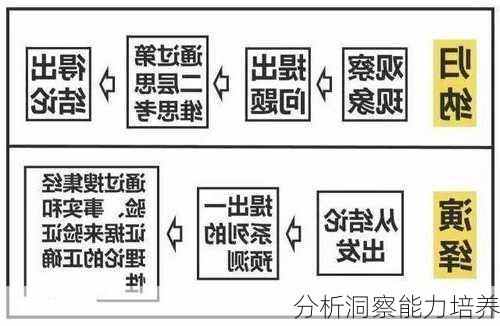 分析洞察能力培养