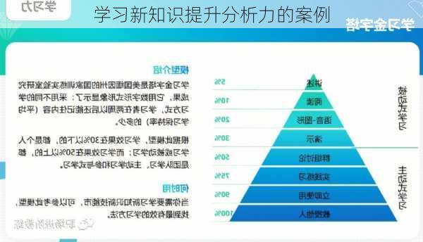 学习新知识提升分析力的案例