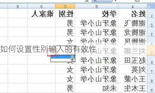 如何设置性别输入的有效性