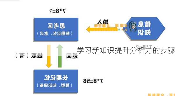 学习新知识提升分析力的步骤