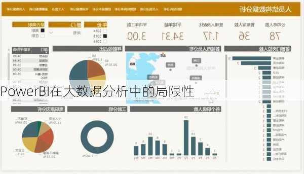 PowerBI在大数据分析中的局限性