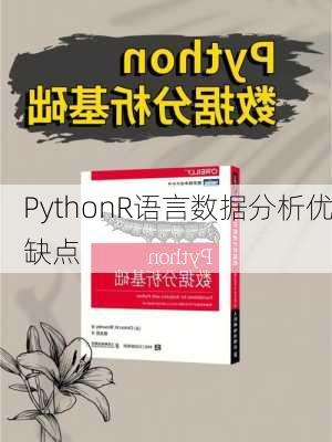 PythonR语言数据分析优缺点