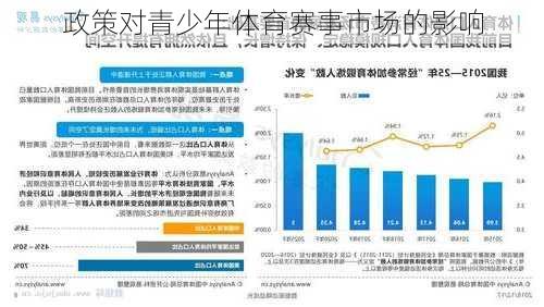 政策对青少年体育赛事市场的影响