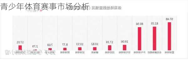 青少年体育赛事市场分析