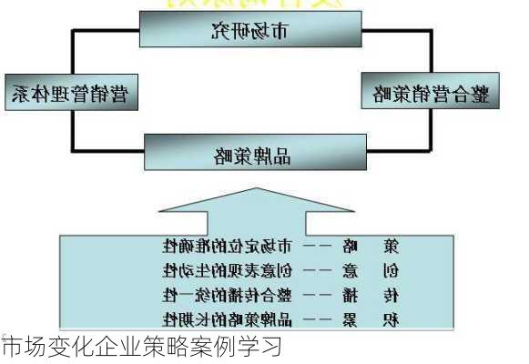 市场变化企业策略案例学习