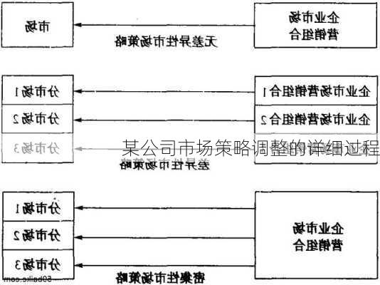 某公司市场策略调整的详细过程