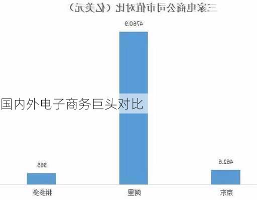 国内外电子商务巨头对比