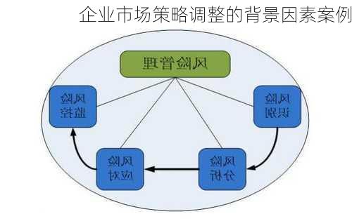 企业市场策略调整的背景因素案例