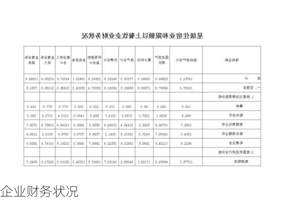 企业财务状况