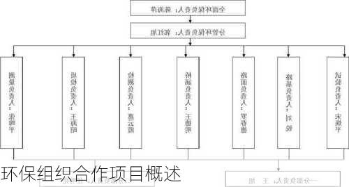 环保组织合作项目概述