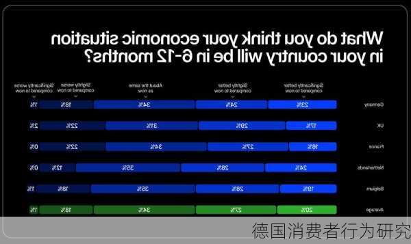 德国消费者行为研究