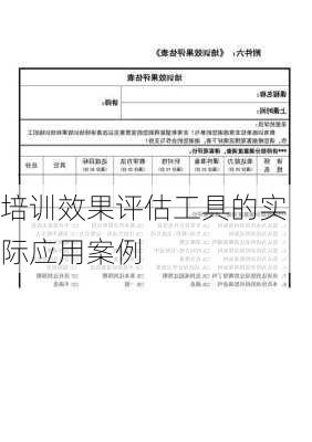 培训效果评估工具的实际应用案例