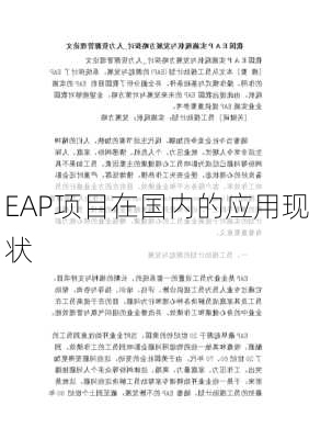 EAP项目在国内的应用现状