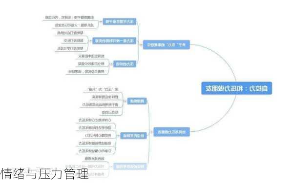 情绪与压力管理