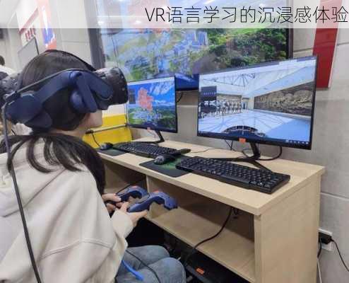 VR语言学习的沉浸感体验