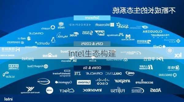 Intel生态构建