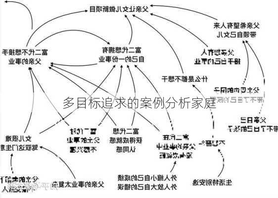 多目标追求的案例分析家庭