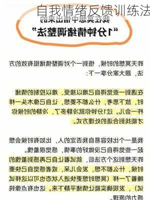 自我情绪反馈训练法