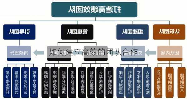 如何建立高效的团队合作