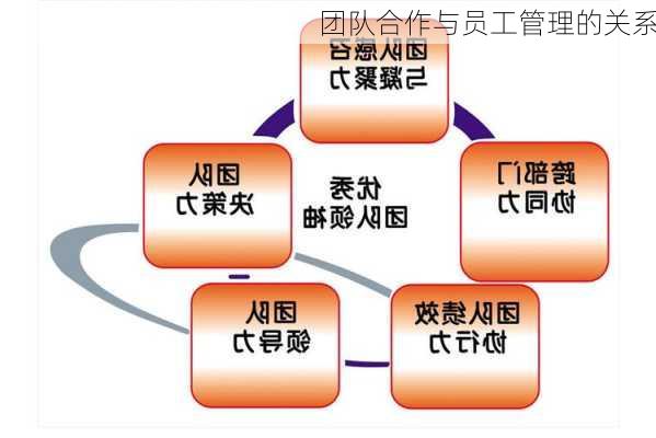 团队合作与员工管理的关系