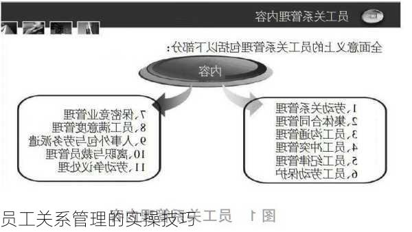 员工关系管理的实操技巧