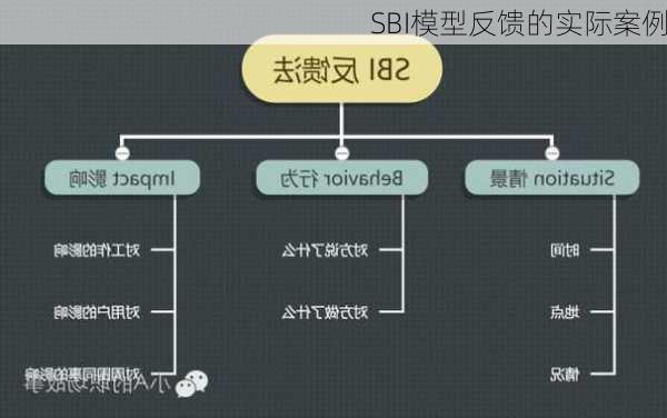 SBI模型反馈的实际案例