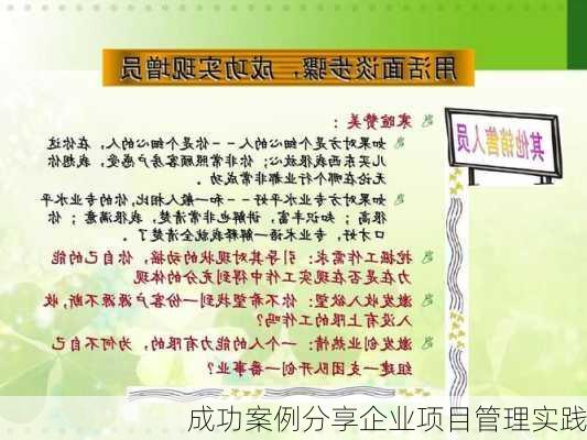 成功案例分享企业项目管理实践